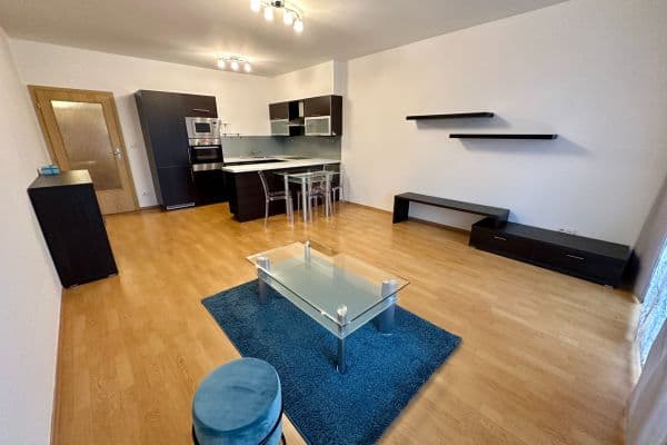 1 bedroom with open-plan kitchen flat to rent, 73 m², Panuškova, Praha 1 bedroom with open-plan kitchen flat to rent, 73 m², Panuškova, Praha