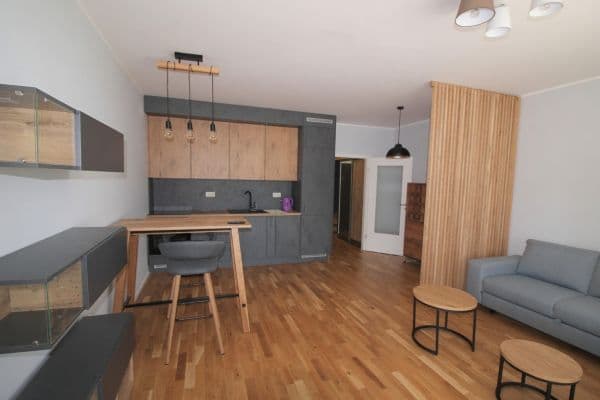 Studio flat to rent, 36 m², Plzeňská, Prague Studio flat to rent, 36 m², Plzeňská, Prague