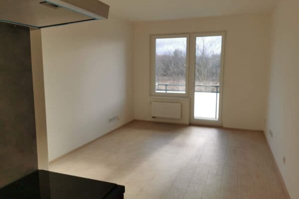 1 bedroom with open-plan kitchen flat to rent, 44 m², Františka Diviše, Praha 1 bedroom with open-plan kitchen flat to rent, 44 m², Františka Diviše, Praha