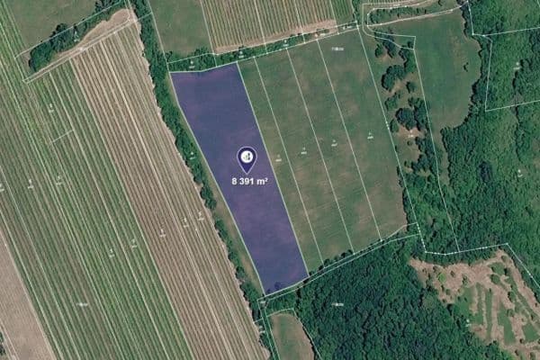 plot for sale, 8,391 m², Horní Věstonice plot for sale, 8,391 m², Horní Věstonice