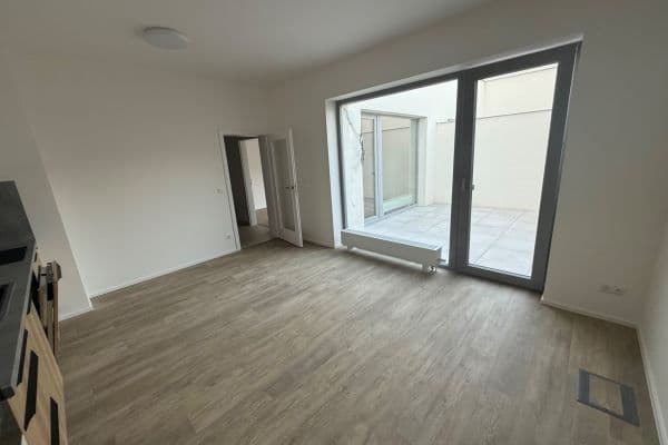 1 bedroom with open-plan kitchen flat to rent, 50 m², Řepova, Brno 1 bedroom with open-plan kitchen flat to rent, 50 m², Řepova, Brno
