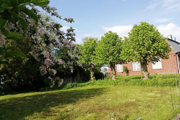 4 bedroom flat to rent, 121 m², Herzhorn 4 bedroom flat to rent, 121 m², Herzhorn