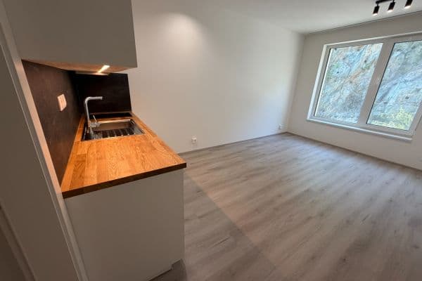 Studio flat to rent, 31 m², Bystrcká, Brno Studio flat to rent, 31 m², Bystrcká, Brno
