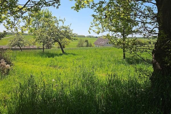 plot for sale, 726 m², Hauptstraße 25, Busenhausen plot for sale, 726 m², Hauptstraße 25, Busenhausen