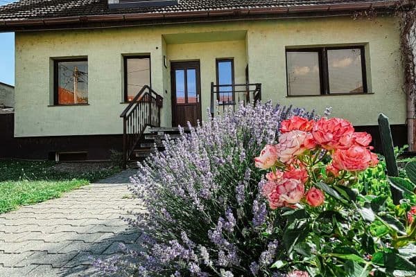 recreational property to rent, 0 m², Valtice recreational property to rent, 0 m², Valtice