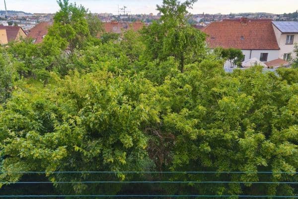 2 bedroom flat for sale, 60 m², Mládežnická, Třebíč, Vysočina Region 2 bedroom flat for sale, 60 m², Mládežnická, Třebíč, Vysočina Region