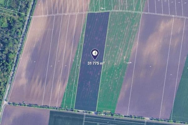 plot for sale, 31,775 m², Sokolnice plot for sale, 31,775 m², Sokolnice