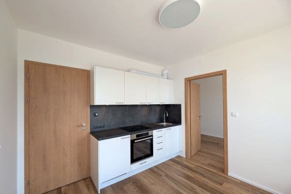 1 bedroom with open-plan kitchen flat to rent, 36 m², Pod Harfou, Praha 1 bedroom with open-plan kitchen flat to rent, 36 m², Pod Harfou, Praha