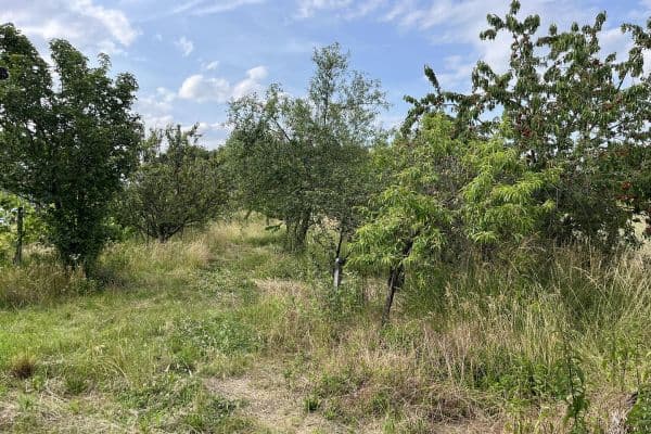 plot for sale, 1,800 m², Ludwigshafen am Rhein plot for sale, 1,800 m², Ludwigshafen am Rhein