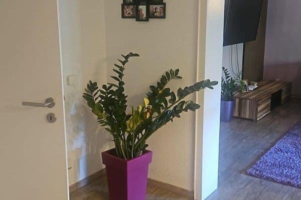 3 bedroom flat to rent, 89 m², Herrenstraße 32, Sonsbeck 3 bedroom flat to rent, 89 m², Herrenstraße 32, Sonsbeck