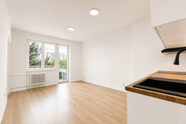 1 bedroom with open-plan kitchen flat for sale, 44 m², U Slavie, Praha 1 bedroom with open-plan kitchen flat for sale, 44 m², U Slavie, Praha