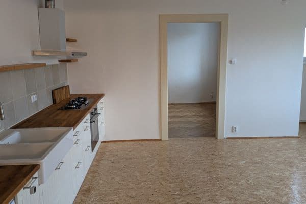 1 bedroom with open-plan kitchen flat to rent, 64 m², Biskupcova, Praha 1 bedroom with open-plan kitchen flat to rent, 64 m², Biskupcova, Praha