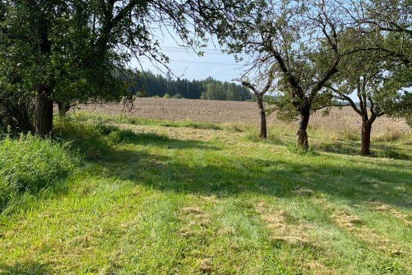 plot for sale, 3,359 m², Petrovice plot for sale, 3,359 m², Petrovice