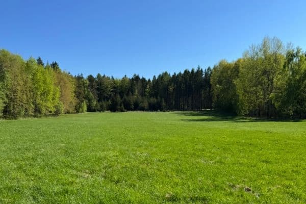 plot for sale, 16,750 m², Ondřejov plot for sale, 16,750 m², Ondřejov