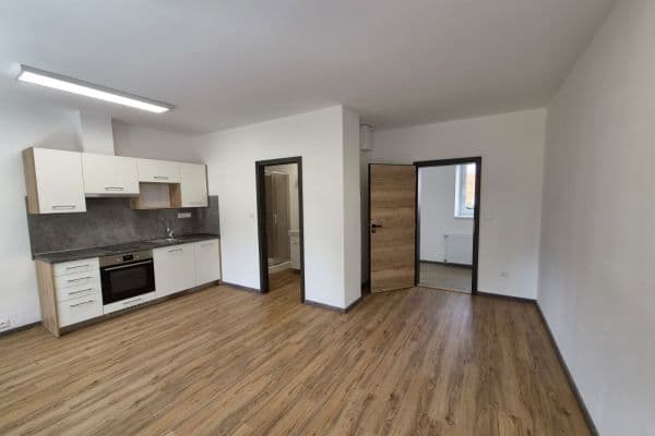 Studio flat to rent, 27 m², Rostoklaty Studio flat to rent, 27 m², Rostoklaty