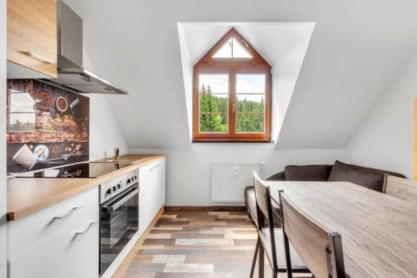 1 bedroom flat for sale, 26 m², Rokytnice nad Jizerou 1 bedroom flat for sale, 26 m², Rokytnice nad Jizerou