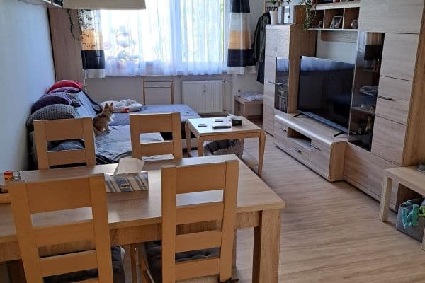 2 bedroom with open-plan kitchen flat for sale, 67 m², Hausmannova, Praha 2 bedroom with open-plan kitchen flat for sale, 67 m², Hausmannova, Praha