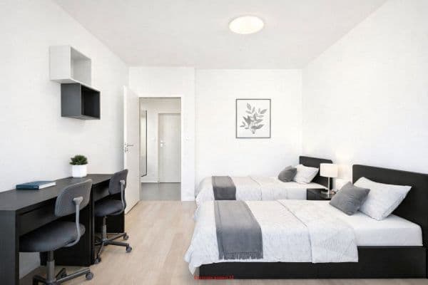 2 bedroom flat to rent, 47 m², Technická, Plzeň, Plzeňský Region 2 bedroom flat to rent, 47 m², Technická, Plzeň, Plzeňský Region