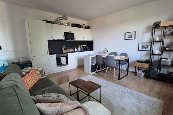 1 bedroom with open-plan kitchen flat to rent, 49 m², V Závětří, Praha 1 bedroom with open-plan kitchen flat to rent, 49 m², V Závětří, Praha