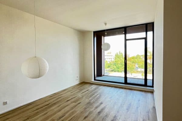 1 bedroom with open-plan kitchen flat to rent, 67 m², Malešická, Praha 1 bedroom with open-plan kitchen flat to rent, 67 m², Malešická, Praha