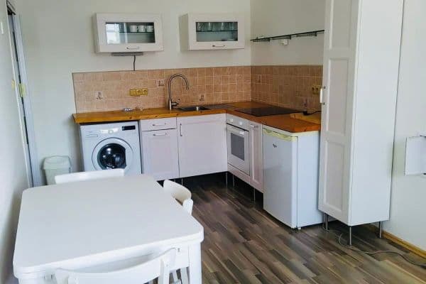 1 bedroom with open-plan kitchen flat to rent, 43 m², Pod Marjánkou, Praha 1 bedroom with open-plan kitchen flat to rent, 43 m², Pod Marjánkou, Praha