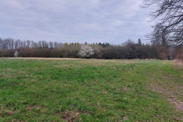 plot for sale, 2,040 m², Loket plot for sale, 2,040 m², Loket