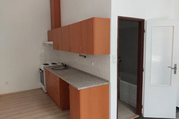 1 bedroom with open-plan kitchen flat to rent, 60 m², Presy, Chrudim 1 bedroom with open-plan kitchen flat to rent, 60 m², Presy, Chrudim