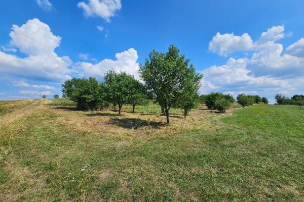 plot for sale, 2,492 m², plot for sale, 2,492 m²,