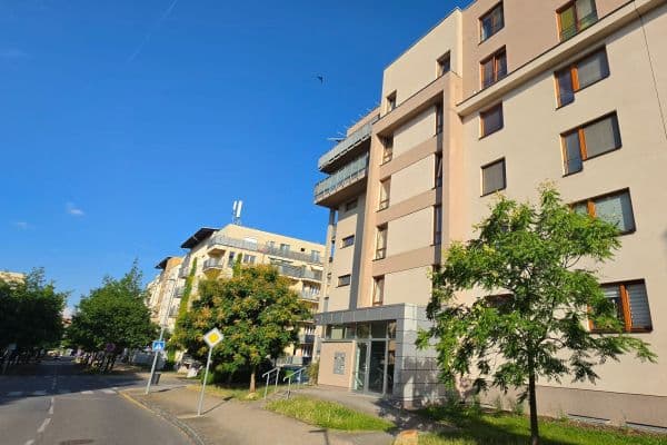 1 bedroom with open-plan kitchen flat to rent, 63 m², Bratislavská, Praha 1 bedroom with open-plan kitchen flat to rent, 63 m², Bratislavská, Praha