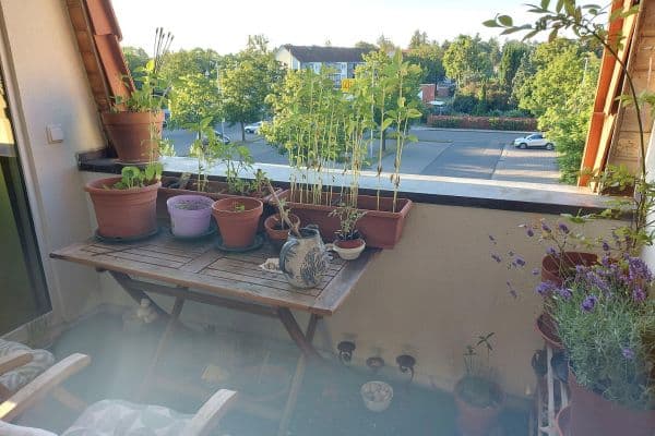 2 bedroom flat to rent, 70 m², Bernau 2 bedroom flat to rent, 70 m², Bernau