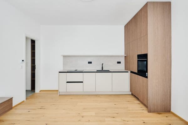 1 bedroom with open-plan kitchen flat to rent, 50 m², Pod Drinopolem, Praha 1 bedroom with open-plan kitchen flat to rent, 50 m², Pod Drinopolem, Praha