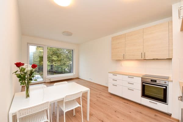 1 bedroom with open-plan kitchen flat to rent, 57 m², Na Parkáně, Beroun, Středočeský Region 1 bedroom with open-plan kitchen flat to rent, 57 m², Na Parkáně, Beroun, Středočeský Region