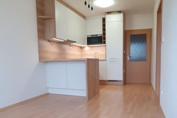1 bedroom with open-plan kitchen flat to rent, 38 m², Donínská, Praha 1 bedroom with open-plan kitchen flat to rent, 38 m², Donínská, Praha