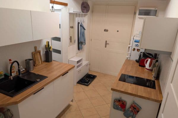 1 bedroom with open-plan kitchen flat to rent, 60 m², Vinohradská, Praha 1 bedroom with open-plan kitchen flat to rent, 60 m², Vinohradská, Praha