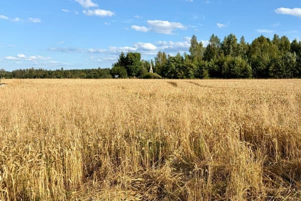 plot for sale, 714 m², plot for sale, 714 m²,