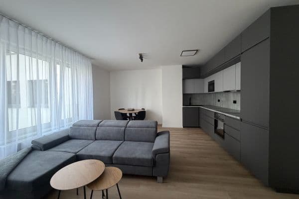 1 bedroom with open-plan kitchen flat to rent, 59 m², Divíškové, Praha 1 bedroom with open-plan kitchen flat to rent, 59 m², Divíškové, Praha