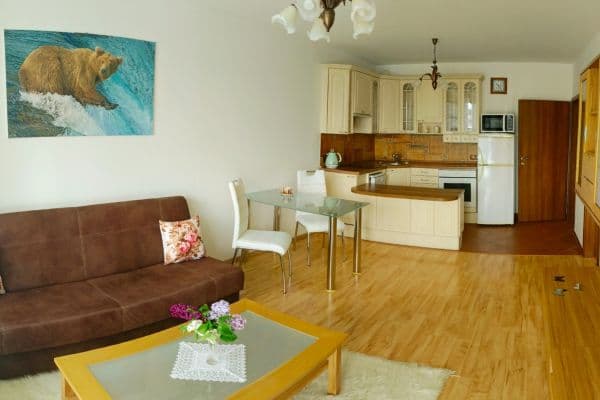 1 bedroom with open-plan kitchen flat to rent, 49 m², Svitákova, Praha 1 bedroom with open-plan kitchen flat to rent, 49 m², Svitákova, Praha