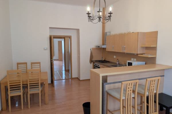 1 bedroom with open-plan kitchen flat to rent, 50 m², Wenzigova, Praha 1 bedroom with open-plan kitchen flat to rent, 50 m², Wenzigova, Praha