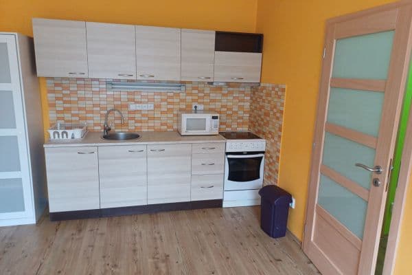 1 bedroom with open-plan kitchen flat to rent, 35 m², Venhudova, Brno 1 bedroom with open-plan kitchen flat to rent, 35 m², Venhudova, Brno