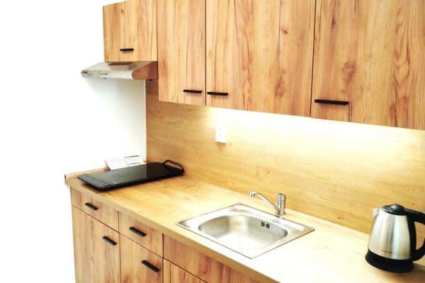 1 bedroom with open-plan kitchen flat to rent, 45 m², Hráského, Praha 1 bedroom with open-plan kitchen flat to rent, 45 m², Hráského, Praha