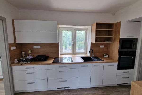 1 bedroom with open-plan kitchen flat to rent, 69 m², Ostřešany 1 bedroom with open-plan kitchen flat to rent, 69 m², Ostřešany