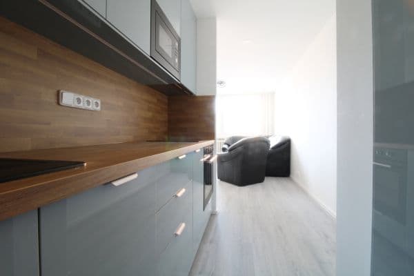 2 bedroom with open-plan kitchen flat to rent, 56 m², Řešovská, Praha 2 bedroom with open-plan kitchen flat to rent, 56 m², Řešovská, Praha