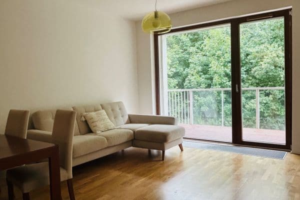 1 bedroom with open-plan kitchen flat to rent, 54 m², Naskové, Praha 1 bedroom with open-plan kitchen flat to rent, 54 m², Naskové, Praha