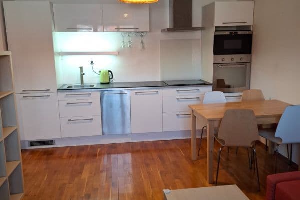 1 bedroom with open-plan kitchen flat to rent, 42 m², Na Mlejnku, Praha 1 bedroom with open-plan kitchen flat to rent, 42 m², Na Mlejnku, Praha