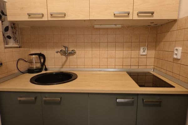 2 bedroom flat to rent, 40 m², Na Úlehli, Praha 2 bedroom flat to rent, 40 m², Na Úlehli, Praha