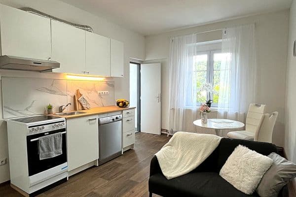 1 bedroom with open-plan kitchen flat for sale, 48 m², Purkyňova, Ústí nad Labem 1 bedroom with open-plan kitchen flat for sale, 48 m², Purkyňova, Ústí nad Labem