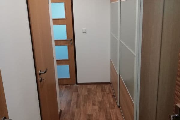 1 bedroom with open-plan kitchen flat to rent, 42 m², Boloňská, Praha 1 bedroom with open-plan kitchen flat to rent, 42 m², Boloňská, Praha
