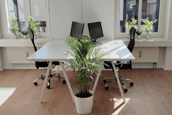 office to rent, 250 m², Anger 9, Erfurt office to rent, 250 m², Anger 9, Erfurt
