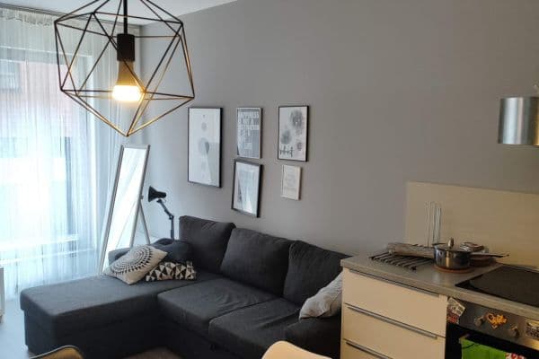 1 bedroom with open-plan kitchen flat to rent, 56 m², Hartigova, Praha 1 bedroom with open-plan kitchen flat to rent, 56 m², Hartigova, Praha