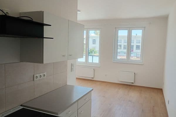 1 bedroom with open-plan kitchen flat to rent, 43 m², Arnošta Staňka, Praha 1 bedroom with open-plan kitchen flat to rent, 43 m², Arnošta Staňka, Praha